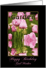 Birthday, Godmother, Garden of Pink Tulips with Waterdrops card