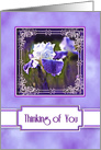 Thinking of You, Elegant Purple and White Iris in Fancy Frame card