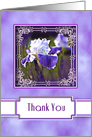 Thank You, Purple Iris within a Fancy Frame, Blank Inside card