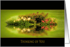 Thinking of You, Dreamy Garden with Reflections, Blank Inside card