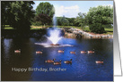 Birthday, Brother, Tranquility with Geese Floating in Pond by Fountain card