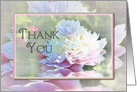 Thank You, Large Elegant Peony in Pastels with Faux Soft Texture card