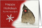 Happy Holidays From Our Home to Yours. Female Red Cardinal and snow. card