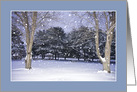 Winter Wonderland Scenic View of Snow Falling and Trees card