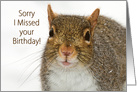 Belated Birthday Wishes from Cute Little Squirrel card