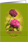 Birthday, 105th, Pink Peony Flowers within an Green Oval Frame card