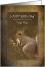 Birthday Pop Pop Squirrel in the Wild on Brown Background card