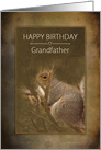 Birthday, Grandfather, Squirrel in the Wild on Brown Baclground card