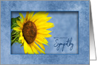 Deepest Sympathy,Bright Sunflower within Blue Frame card