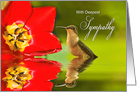 Deepest Sympathy - Hummingbird card