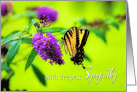 Deepest Sympathy, Nature, Butterfly on Flower card