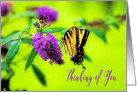 Thinking of You, Butterfly on Purple Flower, Blank Inside card