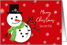 Christmas, Secret Pal, Cute Snowman Hanging Christmas Lights, Snowflak card