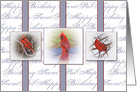 Birthday, Secret Pal, Three Red Cardinals in Frames card