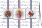 Mother’s Day, Secret Pal, Three Red Cardinals in Frames card