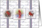 Birthday, Mom,Three Red Cardinals in Frames on Ribbons card