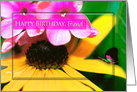 Birthday, Friend, Daisy and Butterfly in Bright Pink and Yellow Colors card