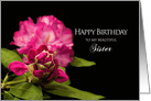 Birthday, Sister, Fuchsia Rhododendron Flowers on Black Background card