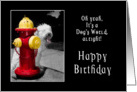 Birthday-Dude-Dog-Firehydrant card