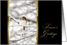 Season’s Greetings - Bird on Branch -Winter Scene card
