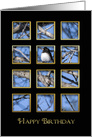 Birthday, Window-like View Openings of Bird on Branch, Black card