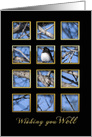 Get Well, View of Bird Perched on Branch Through Window-like Openings card