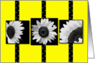 Sunflowers - Yellow - Black and White - Blank Card