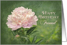 Birthday, Friend, Delicate Pink Peony isolated on Green Background card
