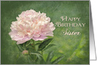 Birthday, Sister, Delicate Pink Peony Flower on Green card