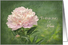 Thinking of You - Pink Peonies - Blank Card