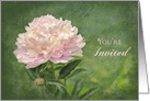 You’re Invited, Invitation, Delicate Pink Peonies on Green Background card