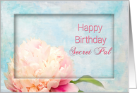 Birthday, Secret Pal, Delicate Pink Peony Flower on Soft Blue card