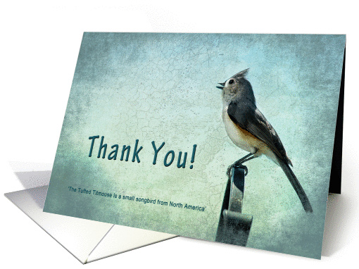 Thank You - Bird (Titmouse with blue/gray textures) card (1074300)