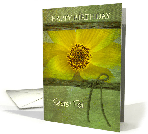 BIRTHDAY, SECRET PAL, YELLOW DAISY,GREEN TEXTURE-LIKE, TIE card