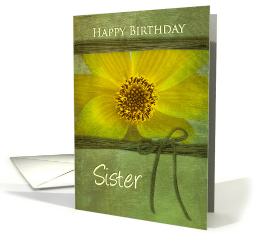 BIRTHDAY, SISTER, YELLOW DAISYon GREEN TEXTURE BACKGROUND card