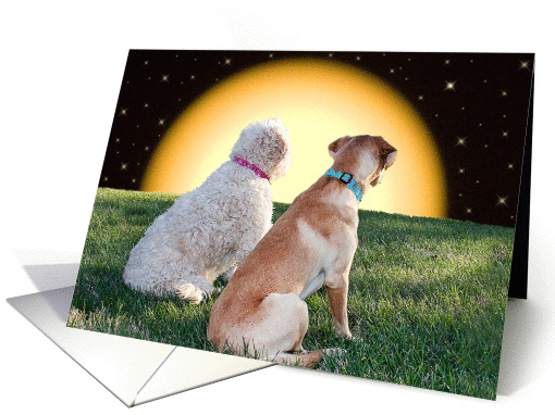 Two Dogs - Moonlight - Multi-Purpose - Puppy Love card (1121184)