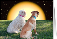 Two Dogs - Moonlight - Multi-Purpose - Puppy Love card