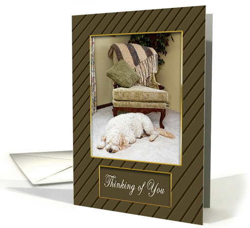 THINKING OF YOU - GOLDEN DOODLE - Home Setting - DOG card (1172396)