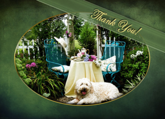 Thank You - Cottage...