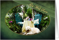 Get Well Soon - Cottage Garden - Tea For Two - Trellis - Pet/Dog card