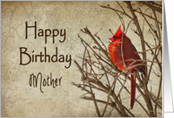 Red Cardinal - Birthday - Mother - Textures card