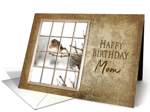 Birthday, Mom, View Through Old Window Small Bird on Branch card