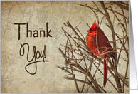Thank You - Red Cardinal - Branch - Textures card