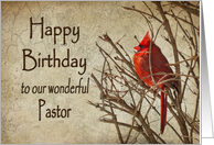 Birthday - Pastor - Red Cardinal - Branch - Textures card