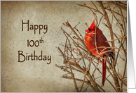 100th Birthday with Red Cardinal Perched on Branches card