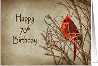 70th Birthday with Red Cardinal Perched in Branches card