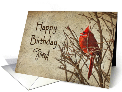 Birthday - Friend - Red Cardinal - Branch - Textures card (1224434)