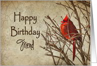 Birthday - Friend - Red Cardinal - Branch - Textures card