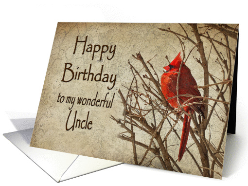Birthday - Uncle - Red Cardinal - Branch - Textures card (1224436)