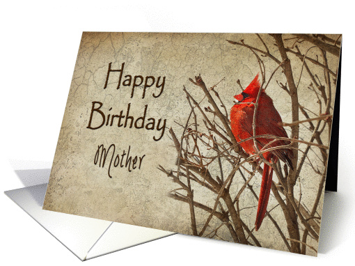 Birthday - mother - Red Cardinal - Branch - Textures card (1224442)